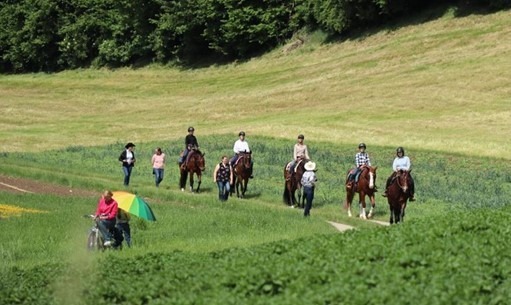 Brevet Reiten im öffentlichen Raum
